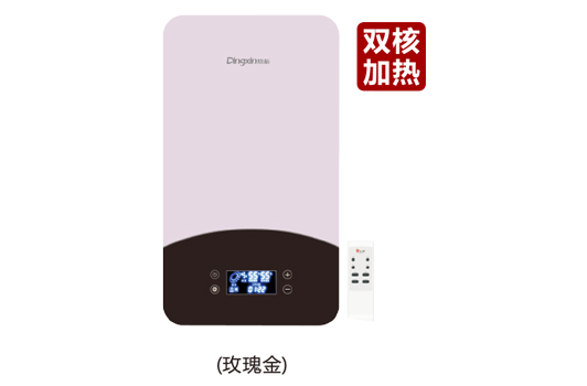 鼎新电热水器 速热